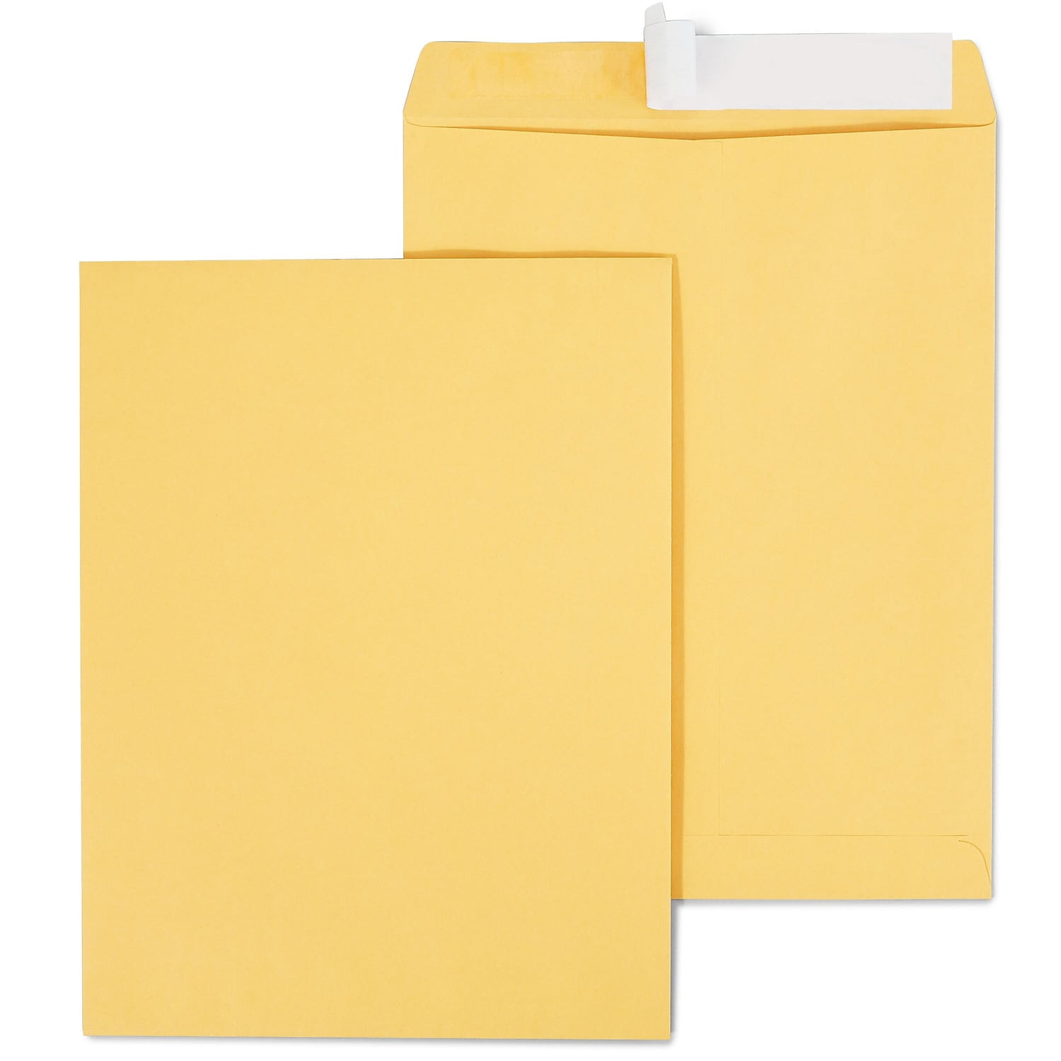 Staples EasyClose Catalog Envelopes 10"L x 13"H Brown 100/BX (381969/19023)
