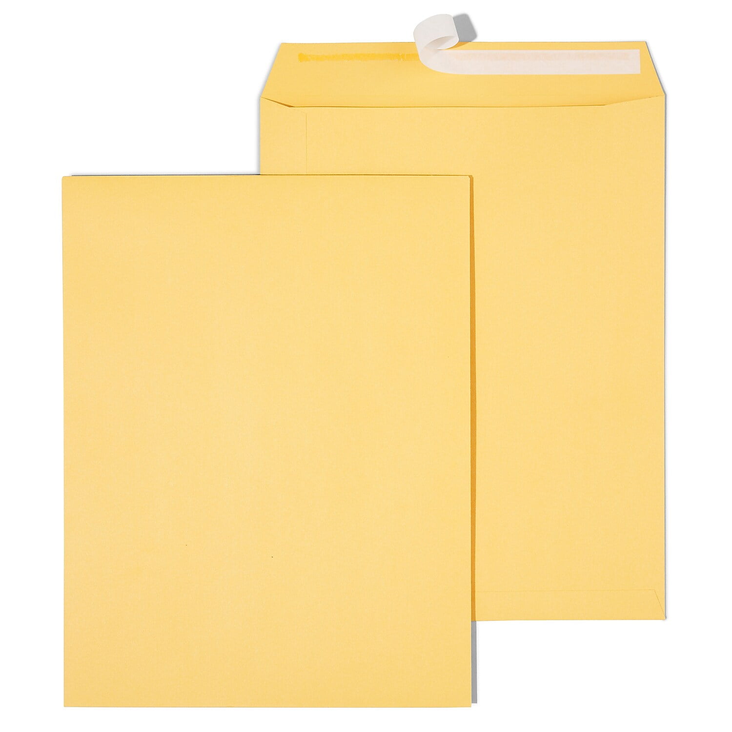 Staples EasyClose Catalog Envelopes 10"L x 13"H Brown 250/BX (479889/