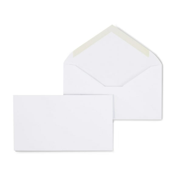 Staples Gummed #6 3/4 Standard Business Envelopes 500/Box (187005/19252)