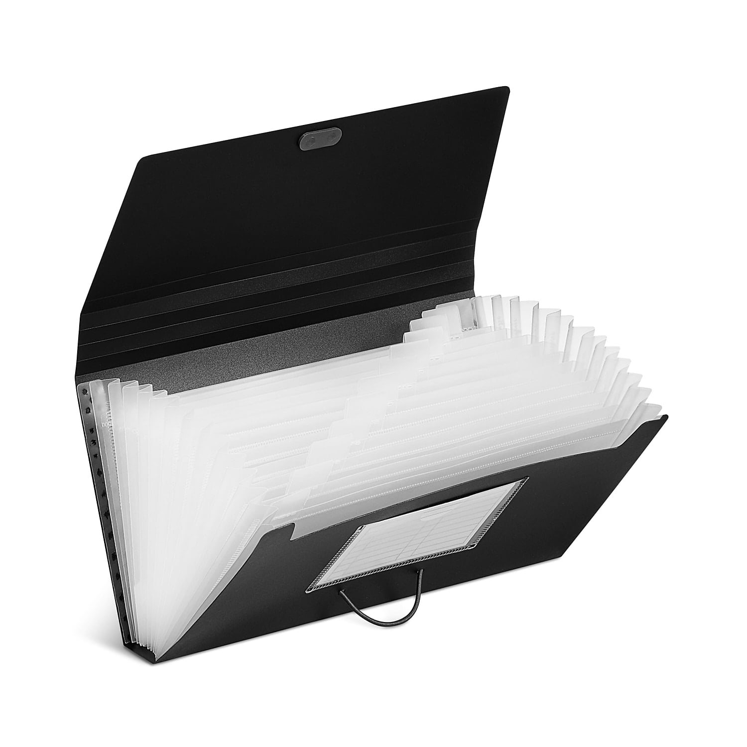 Black and Clear Plastic Accordion File with 13 Pockets