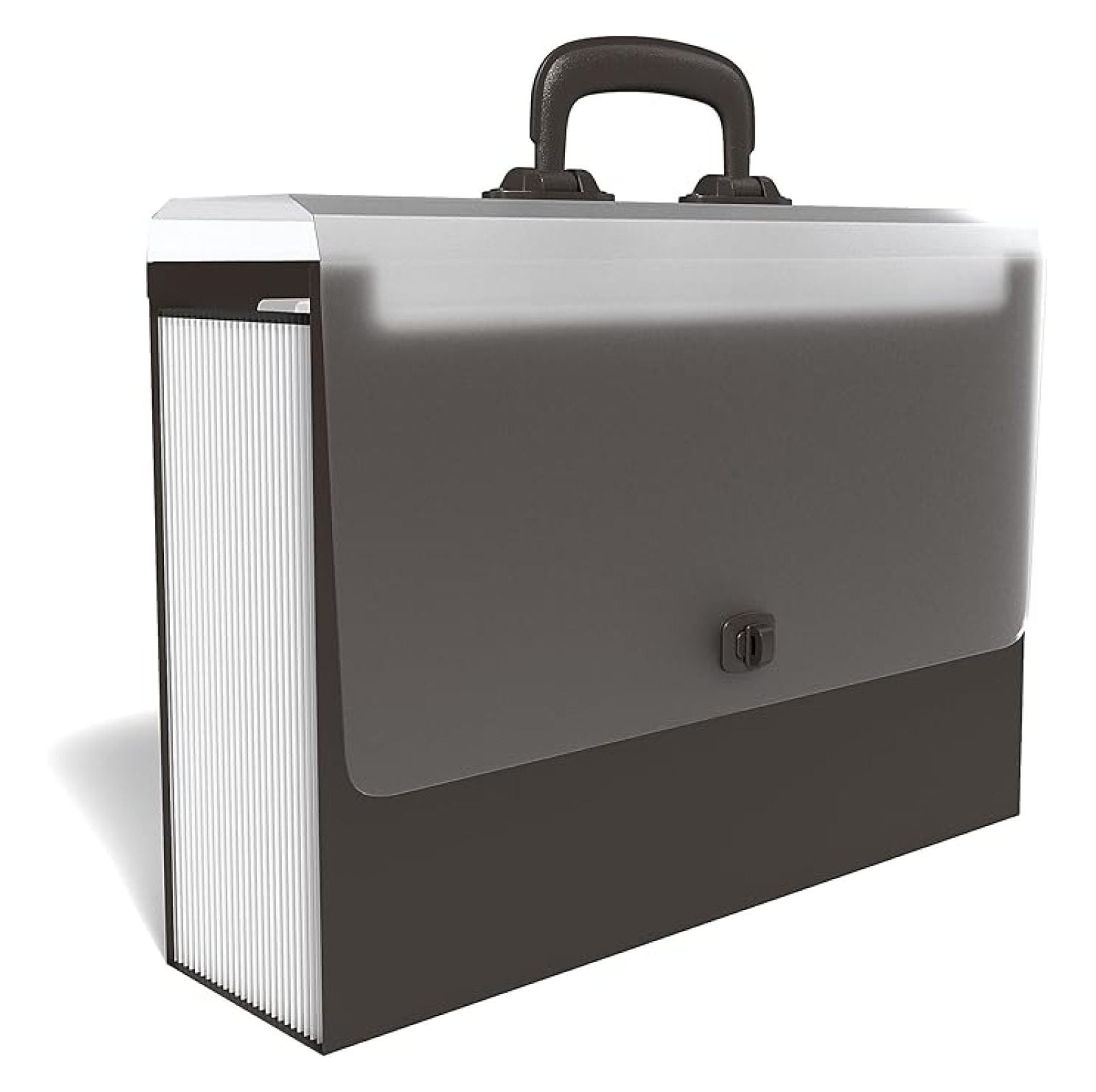 Staples Plastic Accordion File, 26-Pocket, Legal Size, Black, 2/Pack (ST45531/TR455VS)