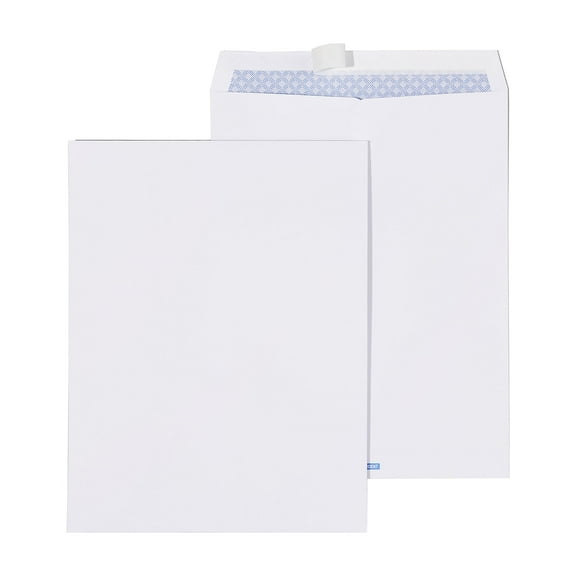 Staples Tamper-Evident Security-Tinted EasyClose Catalog Envelopes 10x13 100BX 19957