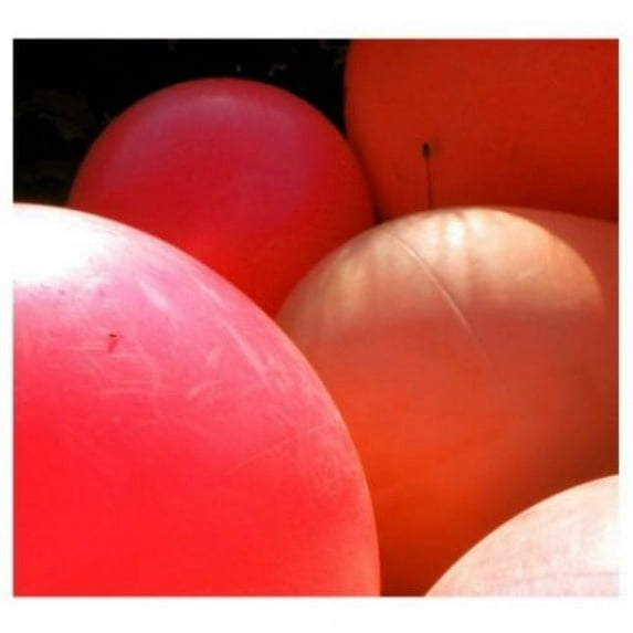 Stapleton - Rest & Be Thankful - Music & Performance - CD