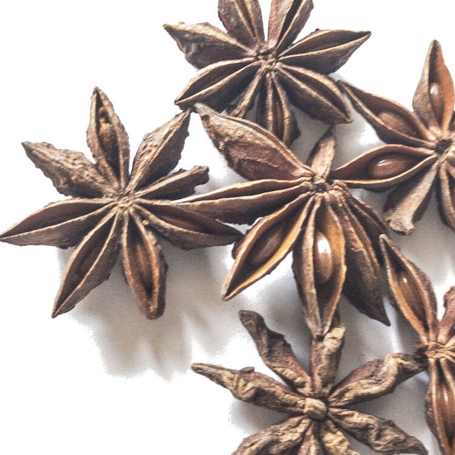 Star Anise, Dried Herb, 1 oz (28 g)