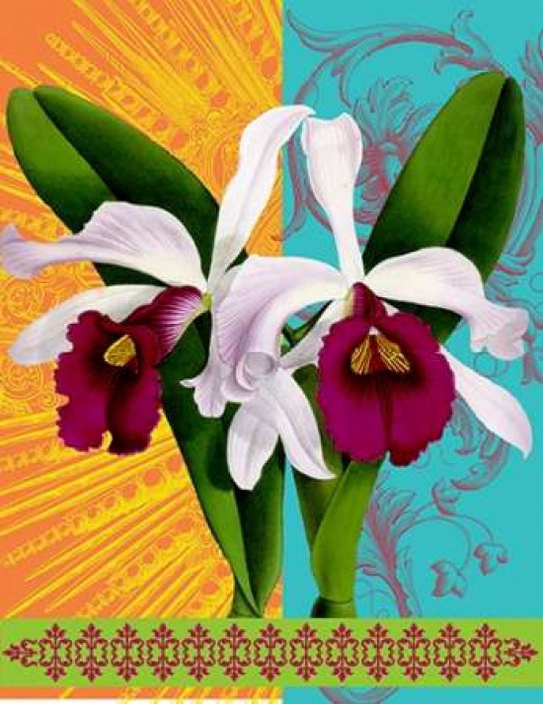 Star Burst Orchid Canvas Art - Walter Robertson (22 x 28)