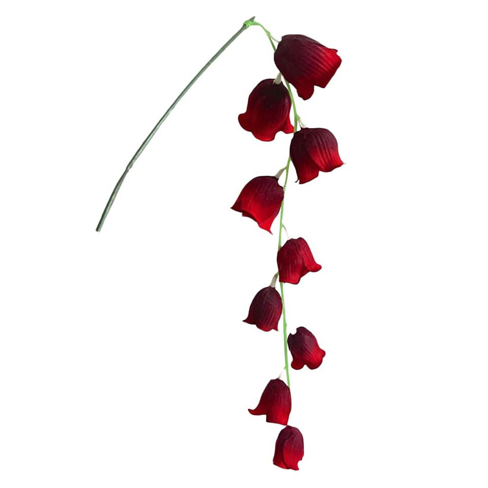 Star Christmas Lights Outdoor Plug in Warm Outdoor Christmas Lights