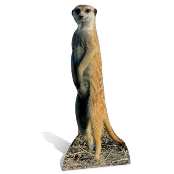 Meerkat Cardboard Cutout Cardboard Cutout