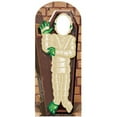 thumbnail image 1 of Star Cutouts SC652 Mummy Stand-In Cardboard Stand Ups, 1 of 2