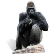 Star Cutouts SC67 Gorilla Cardboard Cutout - 49 x 1 in.