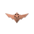 thumbnail image 1 of Star Driver Emblemt Pin Set, 1 of 1