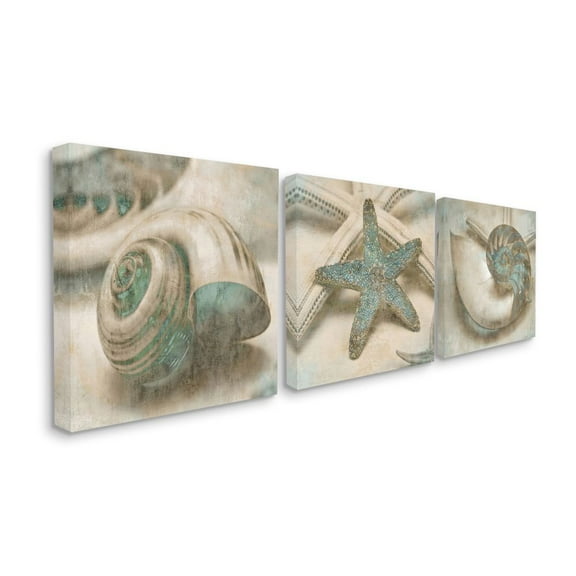 Star Fish and Sea Shells Distressed Texture Blue Tan Design Coastal Gallery-Wrapped Canvas Print Wall Art, Set of 3, 17x17