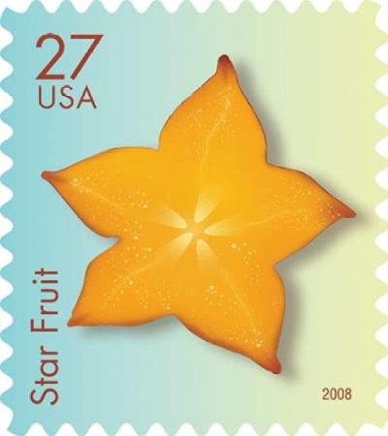 Star Fruit Canvas Art - US POSTAL SERVICE (24 x 24)