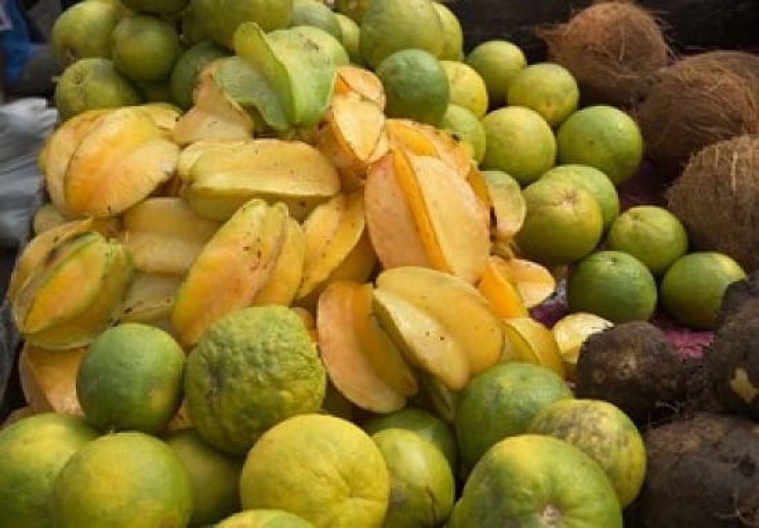 Star Fruit and Citrus Fruits Grenada Caribbean Canvas Art - Paul Thompson DanitaDelimont (36 x 24)