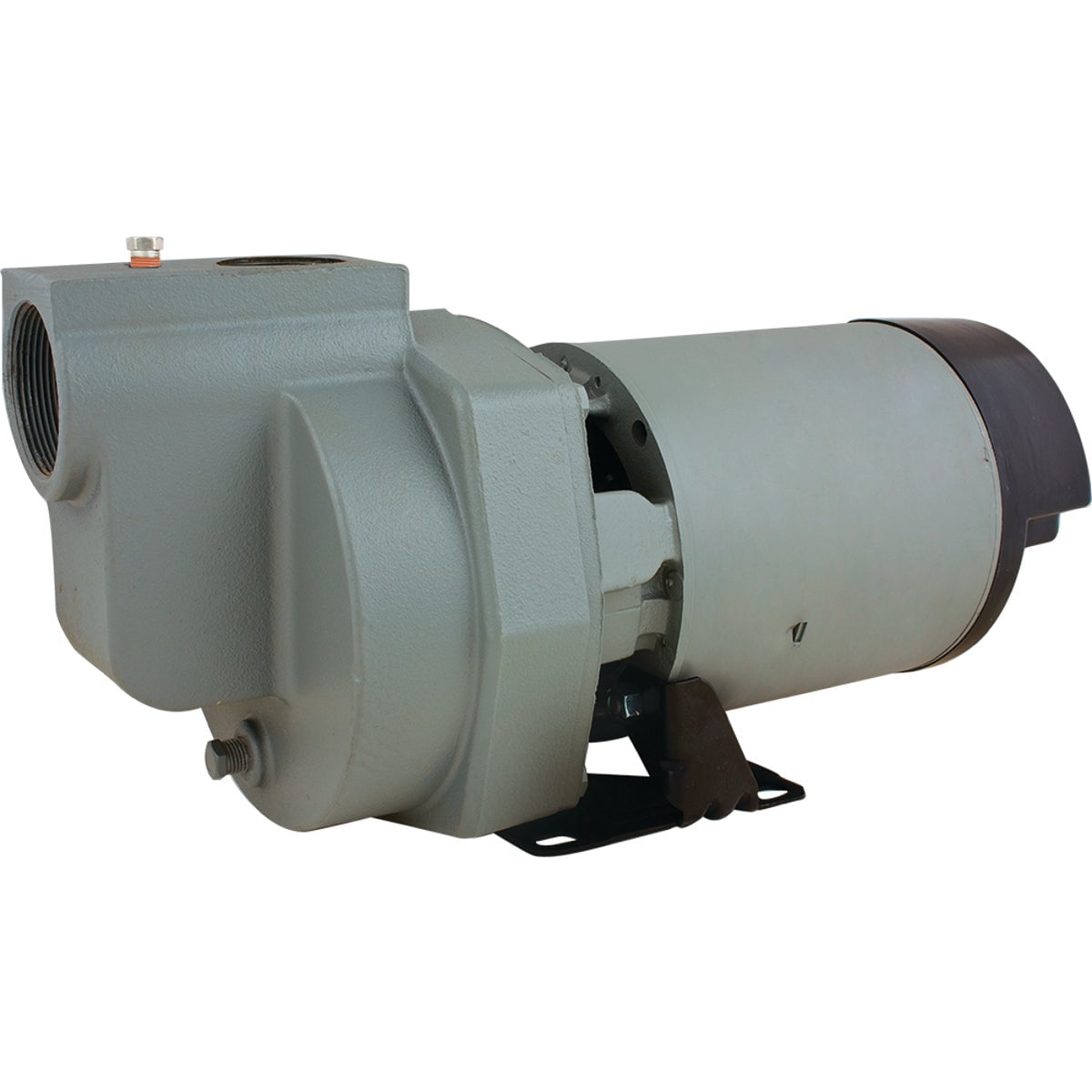 Star 2 HP Self Priming Lawn Sprinkler Irrigation Pump HSP20P1 - Cast Iron, 78 GPM