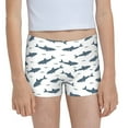 Easygdp Party Shark Cute Girls Hipster Cotton Underwear Little Girls