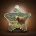 thumbnail image 1 of Star Night Light Auto On/Off Plug-in Wall Light with Light Sensor Warm White LED for Home Party Cow in Green Rolling Hills, 1 of 6