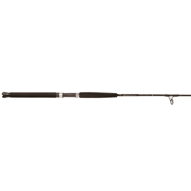 Jigging World Raptor Conventional Rods - Walmart.com
