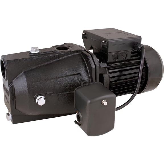Flint & Walling/Star Water SJ07S Shallow Well Jet Pump, .75-HP Motor