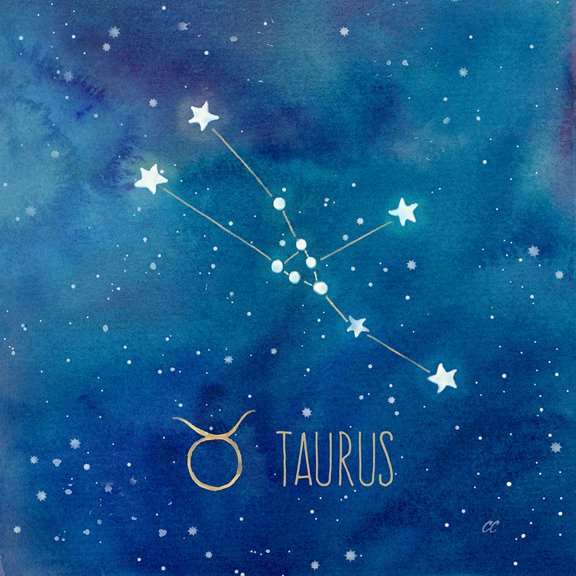 Star Sign Taurus Poster Print by Cynthia Coulter