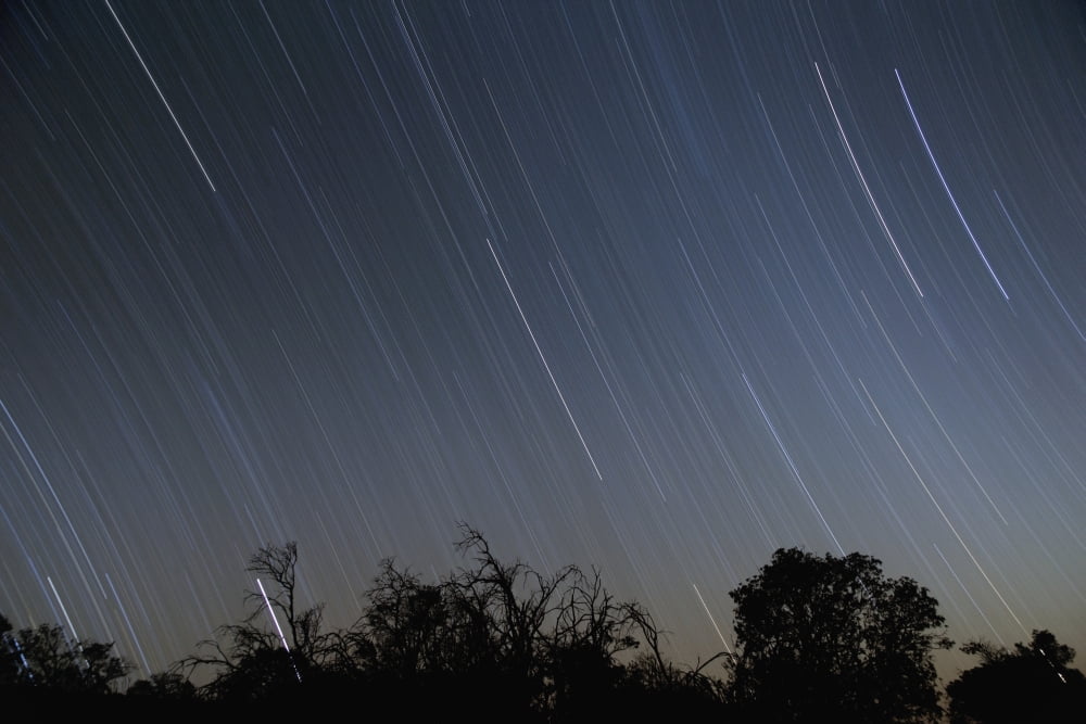 Star Trails In Night Sky (Looking West) Viewed From Mauna Kea With Silhouetted Trees Island Of Hawaii Hawaii United States Of America Canvas Art - Charmian Vistaunet Design Pics (19 x 12)