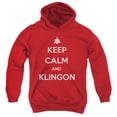thumbnail image 1 of Star Trek - Calm Klingon - Youth Hooded Sweatshirt - Large, 1 of 2