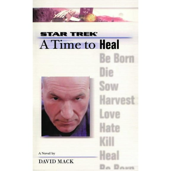 Star Trek: The Next Generation A Star Trek: The Next Generation: Time #8: A Time to Heal, Book 8, (Paperback)