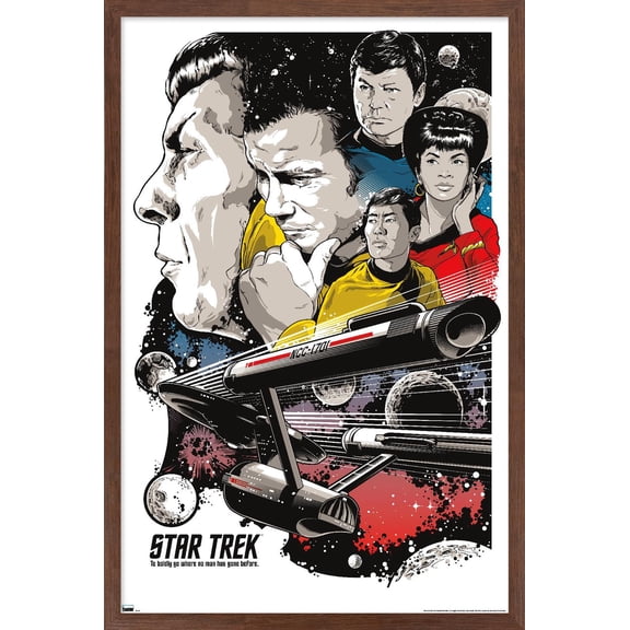 Star Trek: Universe - Joshua Budich Illustration Wall Poster, 22.375" x 34" Framed