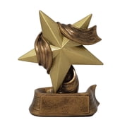 Star Trophy Gold Star Award Employee Superstar Recognition 5 Inch Tall