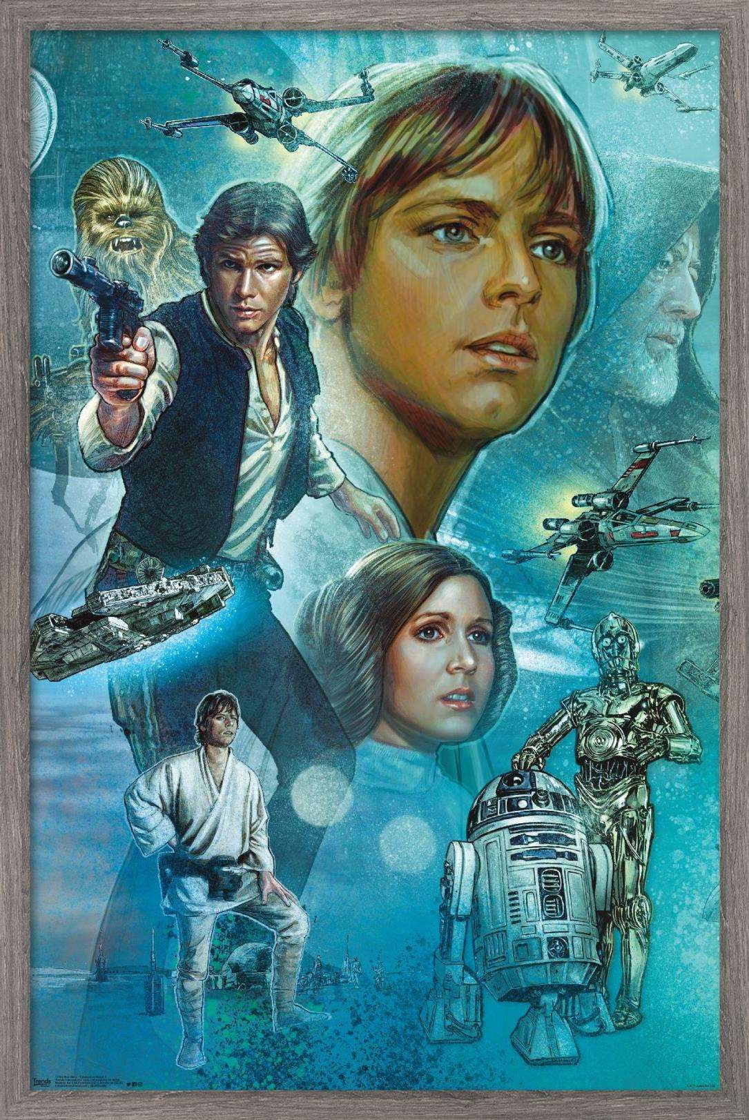 Star Wars: A New Hope - Celebration Mural Wall Poster, 22.375" x 34", Framed