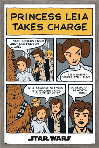 Star Wars: A New Hope - Comic Panel Wall Poster, 22.375" x 34", Framed