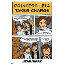 Star Wars: A New Hope - Comic Panel Wall Poster, 22.375" x 34"