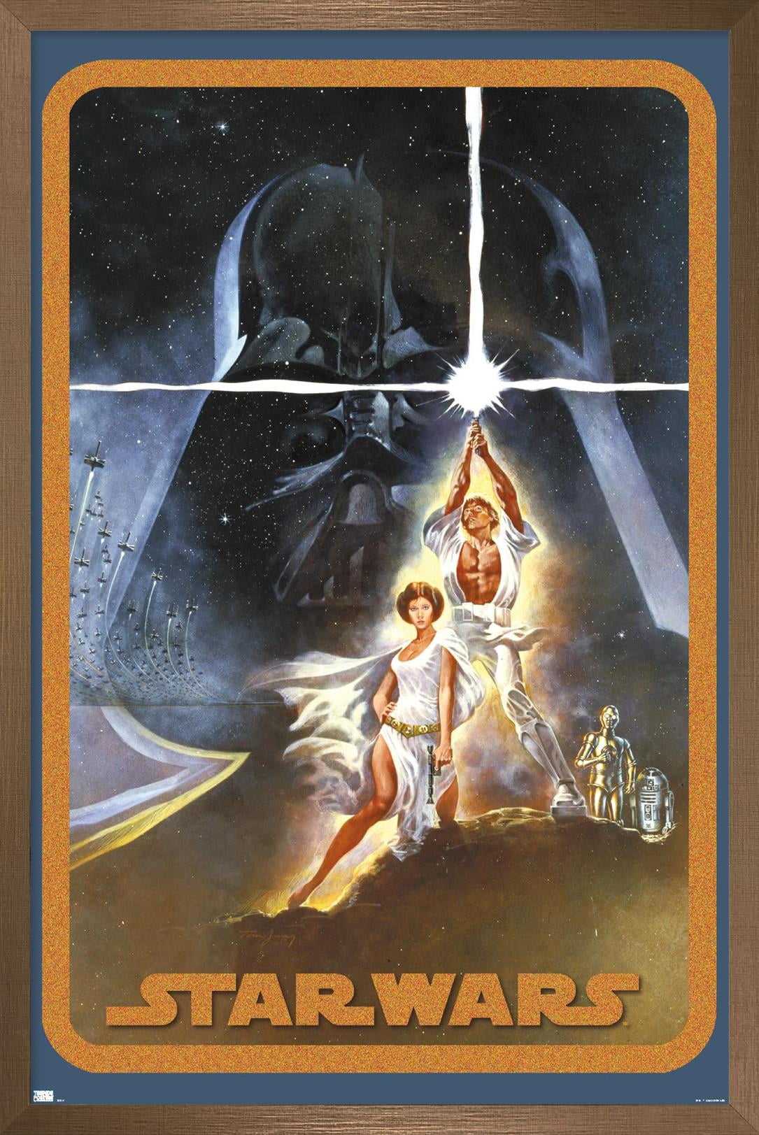 Star Wars: A New Hope - Galaxy Pose Wall Poster, 14.725" x 22.375" Framed