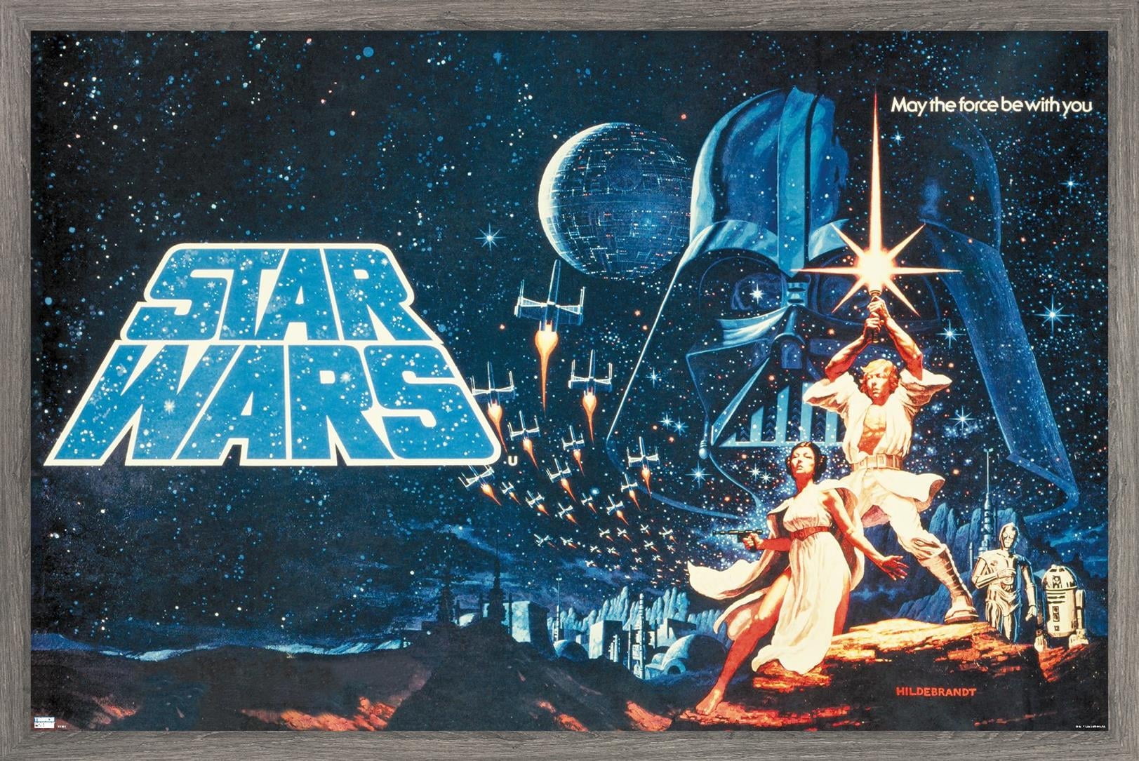 Star Wars: A New Hope - Horizontal Banner Wall Poster