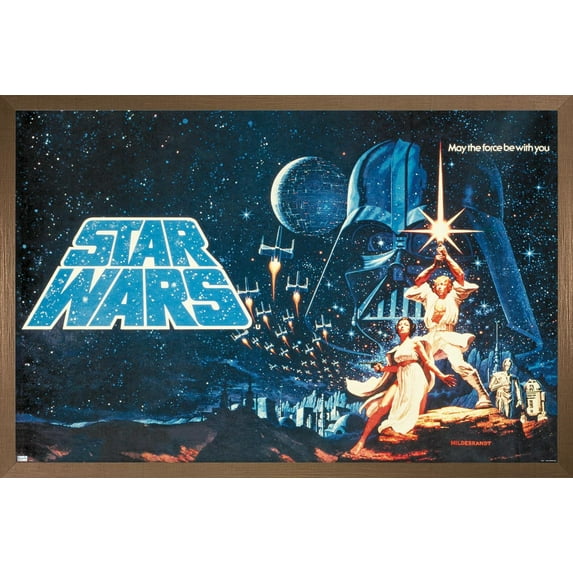 Star Wars: A New Hope - Horizontal Banner Wall Poster, 14.725" x 22.375" Framed