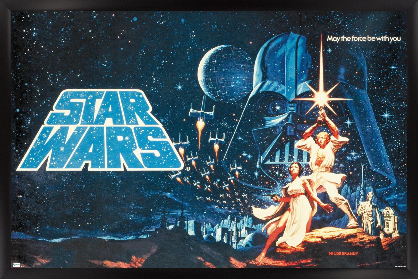 Star Wars: A New Hope - Horizontal Banner Wall Poster, 22.375