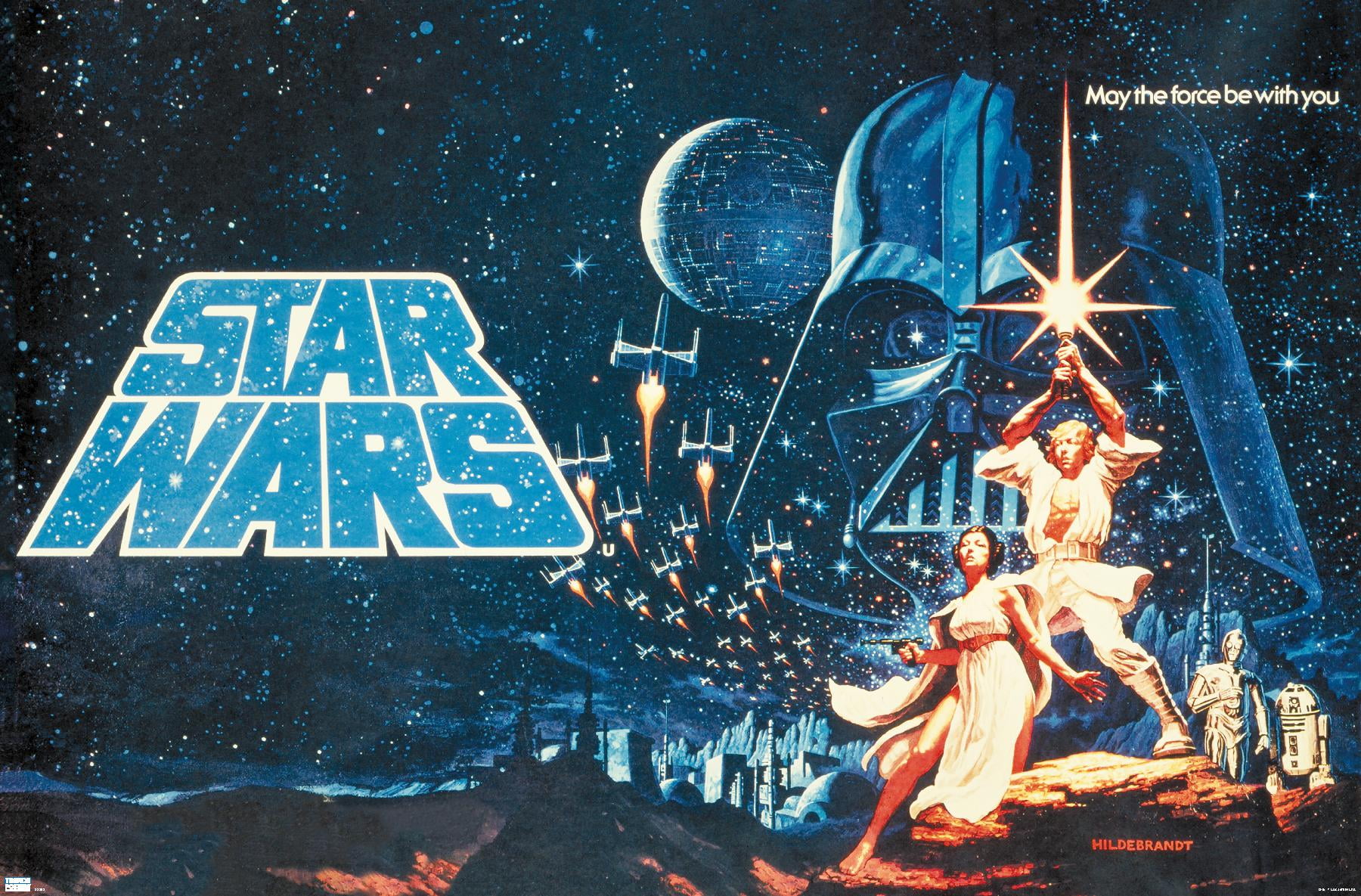 STAR WARS ポスター Star Wars: A New Hope - Horizontal Banner Wall Poster, 22.375