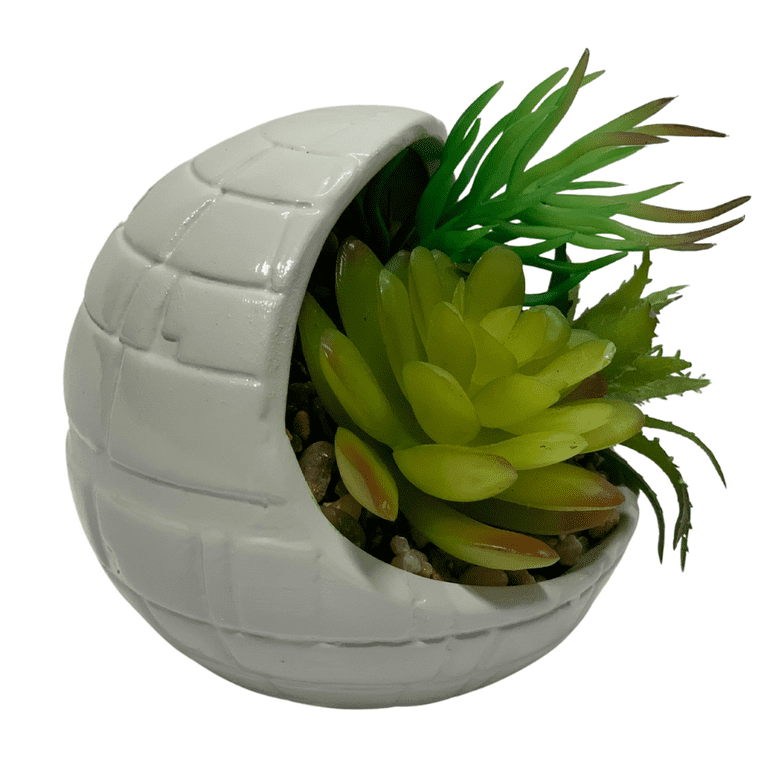 Star Wars Ceramic Planter with Faux Succulent Houseplant inches