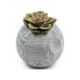 thumbnail image 1 of Star Wars Death Star Planter, 1 of 2