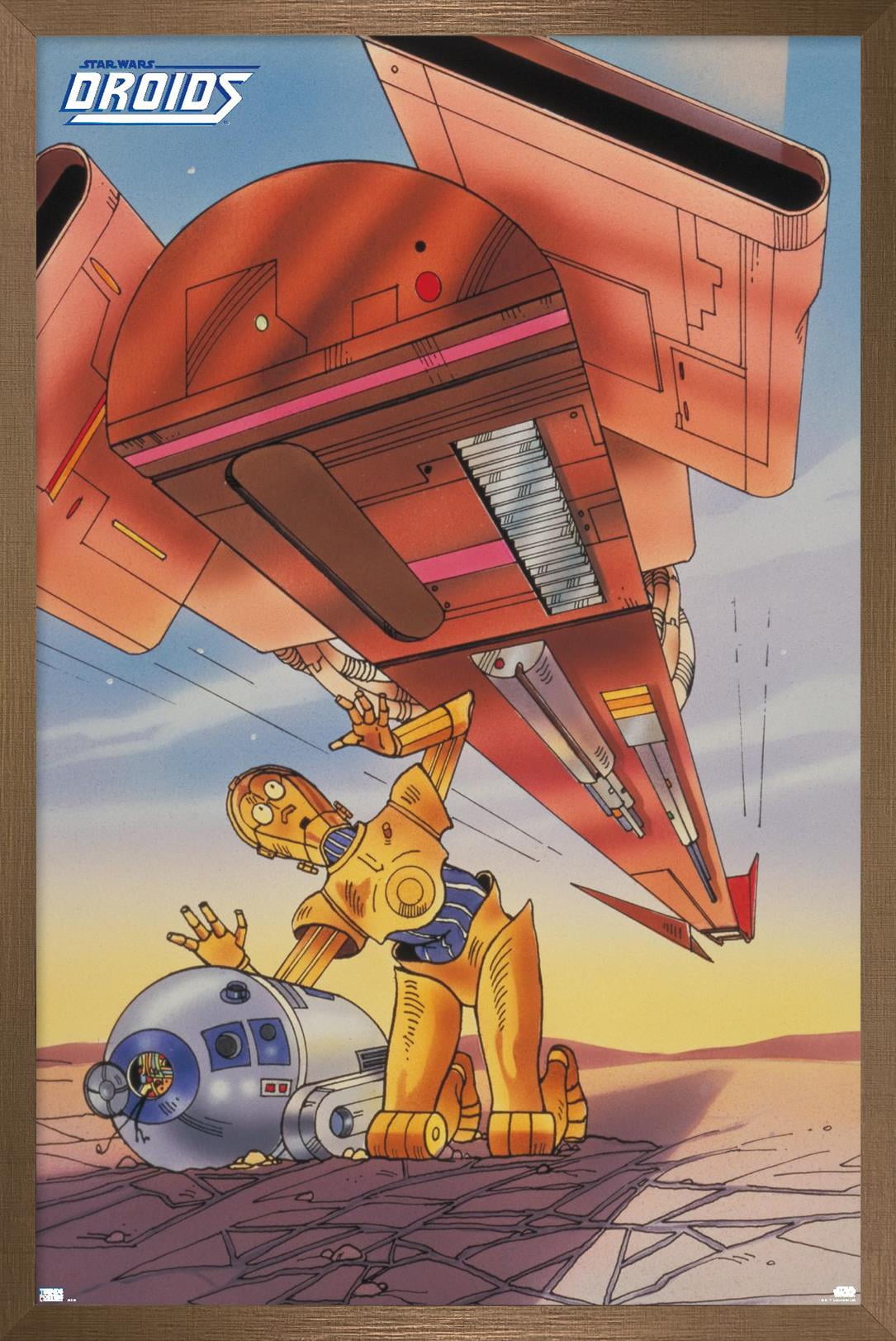 Star Wars: Droids - R2-D2, C-3PO Wall Poster, 22.375" x 34", Framed