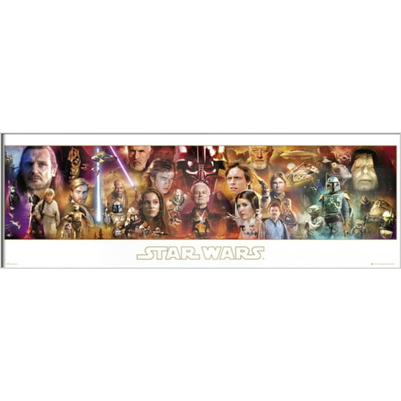Star Wars: Episode I II III IV V & VI - Framed Door Movie Poster (All Characters) (Size: 63" X 22") (White Aluminum Frame)