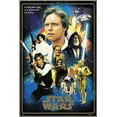 thumbnail image 1 of Star Wars: Episode IV - A New Hope - 40Th Anniversary Edition - Framed Movie Poster (The Heroes - Golden Border) (Size: 25" X 37") (Brushed Champagne Aluminum Frame), 1 of 6