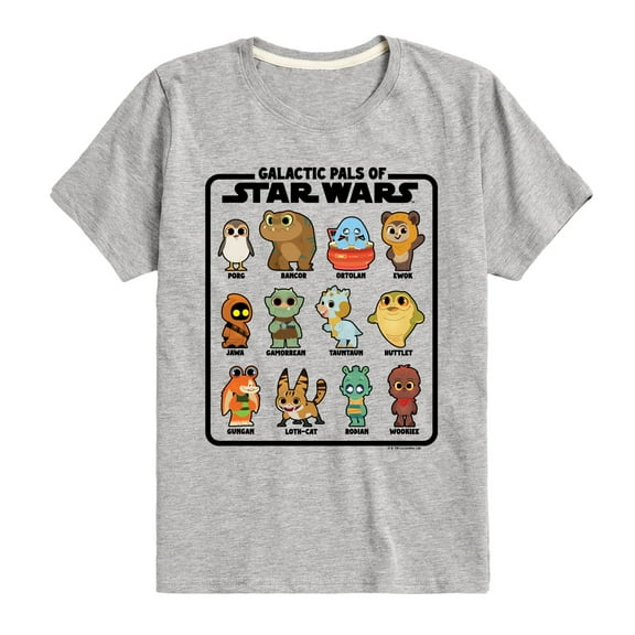 Star Wars - Galactic Pals Of - Toddler And Youth Short Sleeve Tee