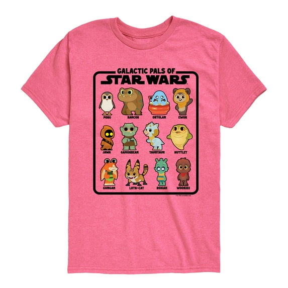 Star Wars - Galactic Pals Of - Toddler And Youth Short Sleeve Tee