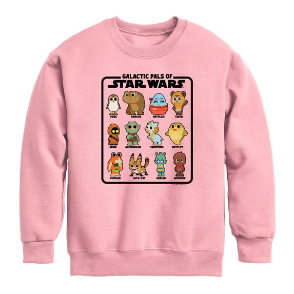 Star Wars - Galactic Pals Boys' Graphic Long Sleeve Fleece Sweatshirt