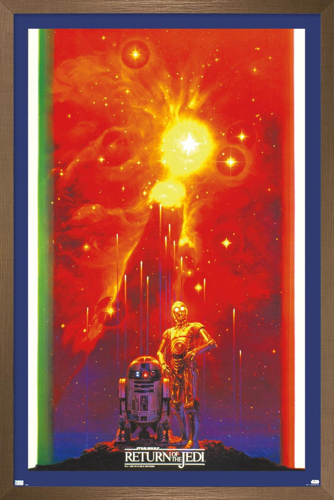 Star Wars: Return of the Jedi - Droid Celebration Wall Poster, 14.725" x 22.375" Framed