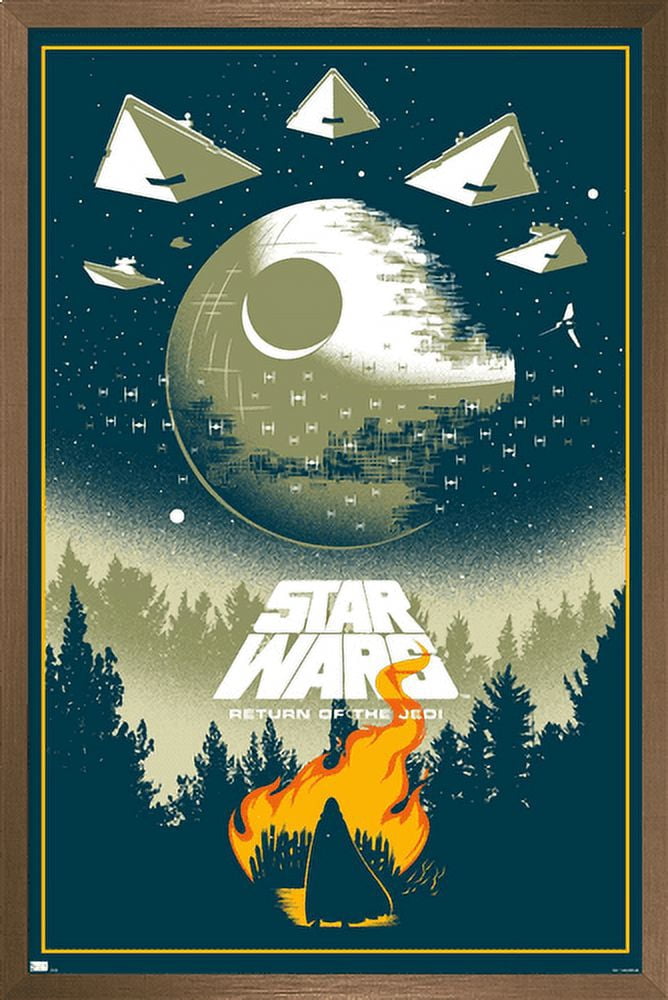 Star Wars: Return of the Jedi - Funeral Wall Poster, 14.725" x 22.375", Framed