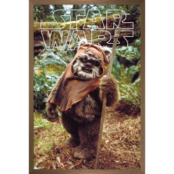 Star Wars: Return of the Jedi - Wicket W. Warrick Wall Poster, 14.725" x 22.375" Framed