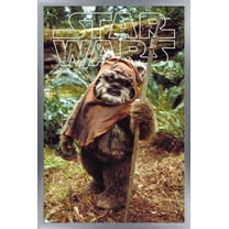 Star Wars: Return of the Jedi - Wicket W. Warrick Wall Poster, 22.375" x 34" Framed