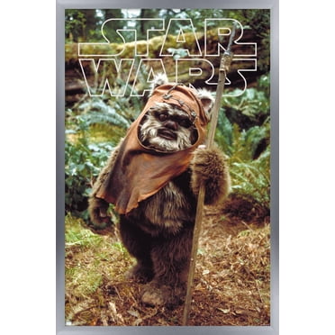 Star Wars: Return of the Jedi - Wicket W. Warrick Wall Poster, 22.375" x 34" Framed