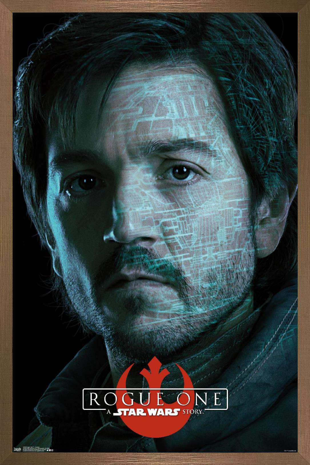 Star Wars: Rogue One - Cassian Wall Poster, 22.375" x 34", Framed
